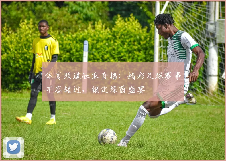 体育频道独家直播:精彩足球赛事不容错过,锁定绿茵盛宴