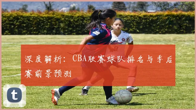 深度解析：CBA联赛球队排名与季后赛前景预测
