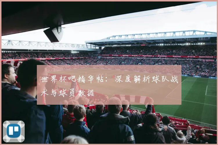 世界杯吧精华帖：深度解析球队战术与球员数据